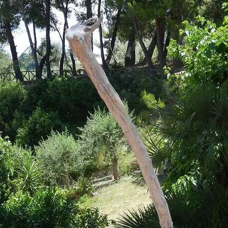 Molino Di Mare Rodi Garganico